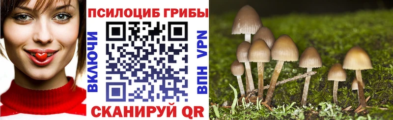 Купить  Темрюк  Галлюциногенные грибы Psilocybine cubensis 